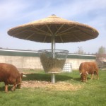 rieten parasol 400 cm met ruiF