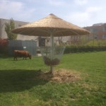 rieten parasol 400 cm met ruif