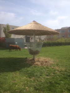 rieten parasol 400 cm met ruif