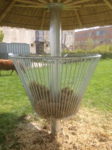 rieten parasol 400 cm met ruif