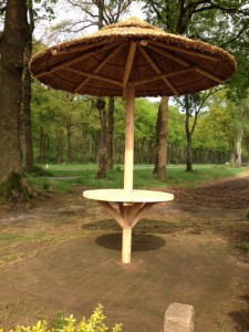 rieten parasol 220 cm met tafelblad