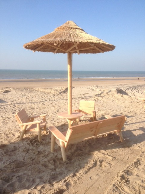 repertoire zo veel Turbine Stormvaste rieten parasols gedekt met echt hollands riet » Hout Creatief