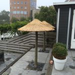 rieten parasol op boomstam, plataan