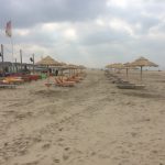 houtcreatief rieten parasol strand paal 14 Katwijk
