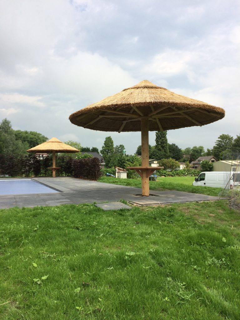 repertoire zo veel Turbine Stormvaste rieten parasols gedekt met echt hollands riet » Hout Creatief