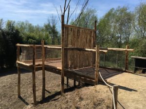 uitkijjkpunt kastanjehout dierenpark